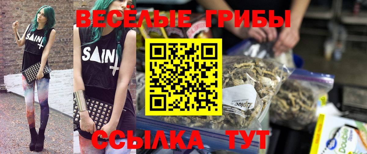 Галлюциногенные грибы прущие грибы Кулебаки